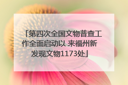 第四次全国文物普查工作全面启动以 来福州新发现文物1173处