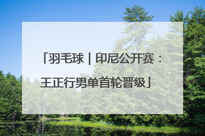 羽毛球｜印尼公开赛：王正行男单首轮晋级