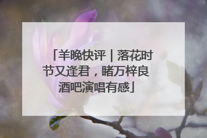 羊晚快评｜落花时节又逢君，睹万梓良酒吧演唱有感