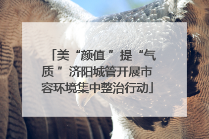美“颜值 ”提“气质 ”济阳城管开展市容环境集中整治行动