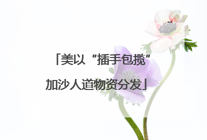 美以“插手包揽”加沙人道物资分发