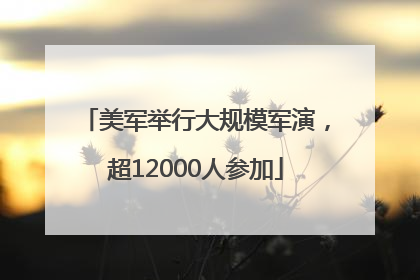 美军举行大规模军演，超12000人参加