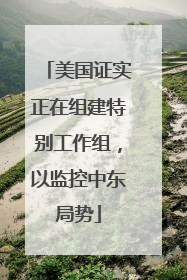 美国证实正在组建特别工作组，以监控中东局势