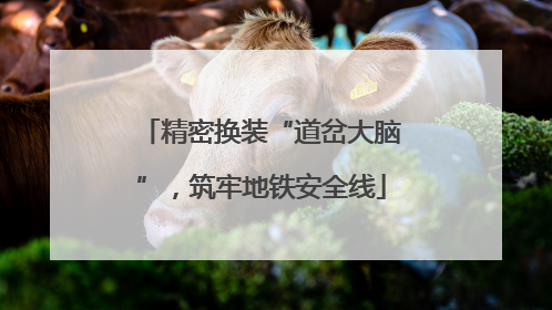 精密换装“道岔大脑”，筑牢地铁安全线