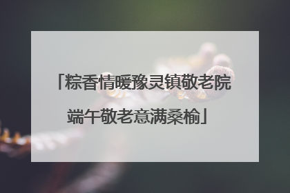 粽香情暖豫灵镇敬老院 端午敬老意满桑榆