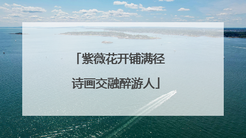 紫薇花开铺满径 诗画交融醉游人