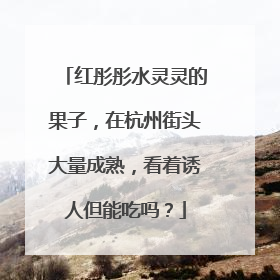 红彤彤水灵灵的果子，在杭州街头大量成熟，看着诱人但能吃吗？