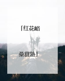 红花峪 桑葚熟