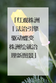 红观株洲丨法治引擎驱动蝶变 株洲绘就治理新图景