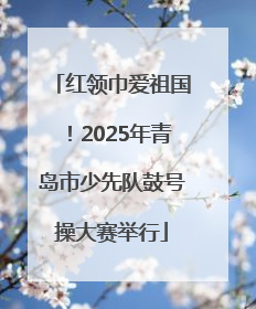 红领巾爱祖国！2025年青岛市少先队鼓号操大赛举行