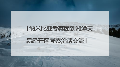 纳米比亚考察团到湘潭天易经开区考察洽谈交流