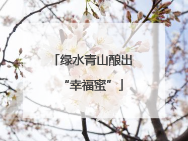 绿水青山酿出“幸福蜜”