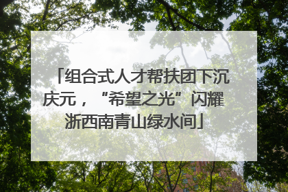 组合式人才帮扶团下沉庆元，“希望之光”闪耀浙西南青山绿水间