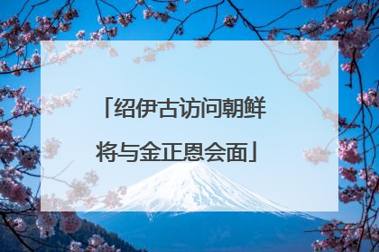 绍伊古访问朝鲜 将与金正恩会面