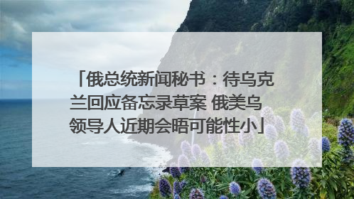 俄总统新闻秘书：待乌克兰回应备忘录草案 俄美乌领导人近期会晤可能性小