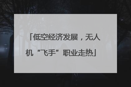 低空经济发展，无人机“飞手”职业走热
