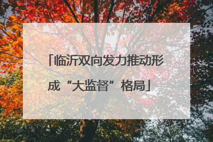 临沂双向发力推动形成“大监督”格局