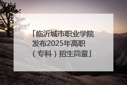 临沂城市职业学院发布2025年高职（专科）招生简章