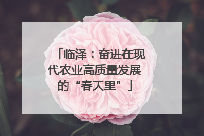临泽：奋进在现代农业高质量发展的“春天里”