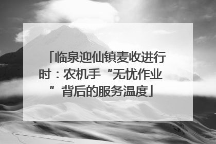 临泉迎仙镇麦收进行时：农机手“无忧作业”背后的服务温度