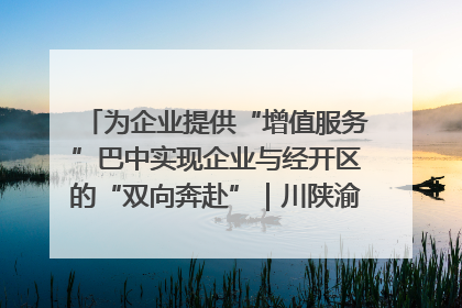 为企业提供“增值服务”巴中实现企业与经开区的“双向奔赴”｜川陕渝网络名人巴中行