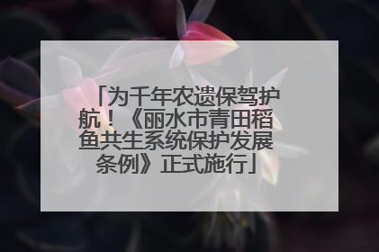 为千年农遗保驾护航！《丽水市青田稻鱼共生系统保护发展条例》正式施行