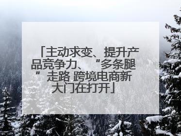 主动求变、提升产品竞争力、“多条腿”走路 跨境电商新大门在打开