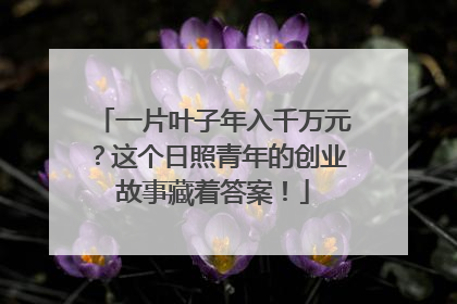 一片叶子年入千万元？这个日照青年的创业故事藏着答案！