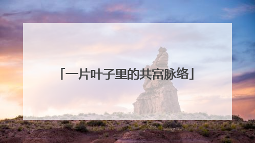 一片叶子里的共富脉络