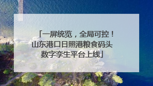 一屏统览，全局可控！山东港口日照港粮食码头数字孪生平台上线