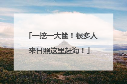一挖一大筐！很多人来日照这里赶海！