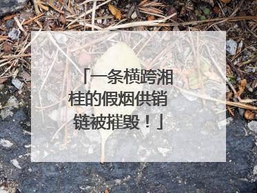 一条横跨湘桂的假烟供销链被摧毁！
