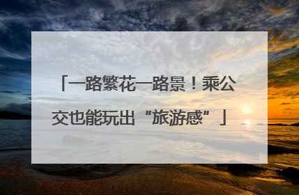 一路繁花一路景！乘公交也能玩出“旅游感”