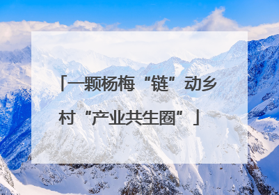 一颗杨梅“链”动乡村“产业共生圈”