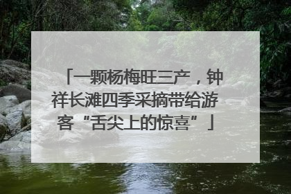 一颗杨梅旺三产，钟祥长滩四季采摘带给游客“舌尖上的惊喜”