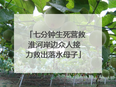 七分钟生死营救 淮河岸边众人接力救出落水母子