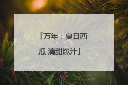 万年：夏日西瓜 清甜爆汁