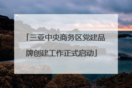三亚中央商务区党建品牌创建工作正式启动