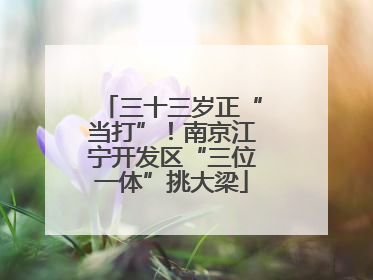 三十三岁正“当打”！南京江宁开发区“三位一体”挑大梁