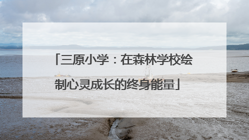 三原小学：在森林学校绘制心灵成长的终身能量