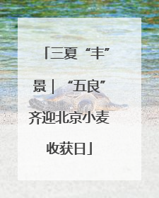 三夏“丰”景｜“五良”齐迎北京小麦收获日