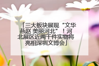 三大板块展现“文华燕赵 美丽河北”！河北展区近两千件实物将亮相深圳文博会