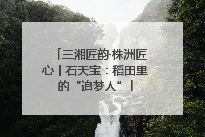 三湘匠韵·株洲匠心丨石天宝：稻田里的“追梦人”