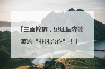 三面锦旗，见证振森能源的“非凡合作”！