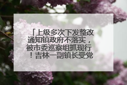 上级多次下发整改通知镇政府不落实，被市委巡察组抓现行！吉林一副镇长受党内警告处分