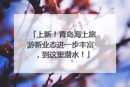 上新！青岛海上旅游新业态进一步丰富，到这里潜水！