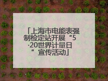 上海市电能表强制检定站开展“5·20世界计量日”宣传活动