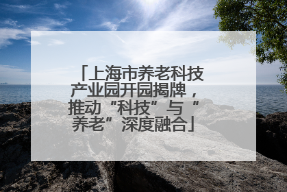 上海市养老科技产业园开园揭牌，推动“科技”与“养老”深度融合