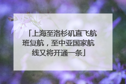 上海至洛杉矶直飞航班复航，至中亚国家航线又将开通一条