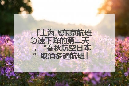 上海飞东京航班急速下降的第二天，“春秋航空日本”取消多趟航班
